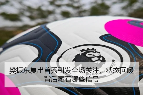 樊振东复出首秀引发全场关注，状态回暖背后藏着哪些信号