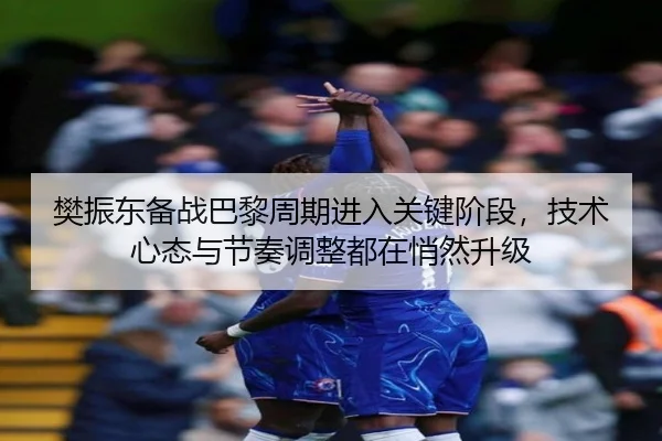 樊振东备战巴黎周期进入关键阶段，技术心态与节奏调整都在悄然升级